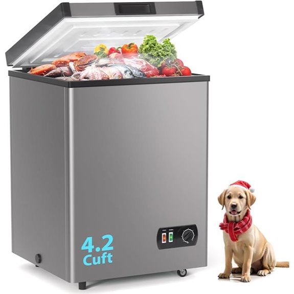 LifePlus 4.2 Cu Ft Chest Freezer with Removable Basket