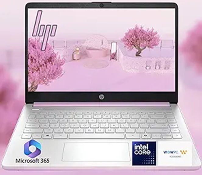 HP 14 Ultrabook Laptop with 16GB RAM