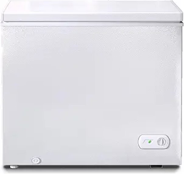 10.0 Cu.Ft Chest Freezer with Removable Basket