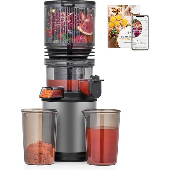 Cold Press Juicer with 6 Wide Feed Stainless Steel Filter