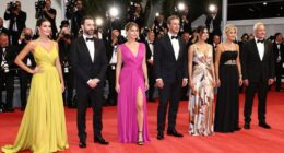celebrity influence on activism